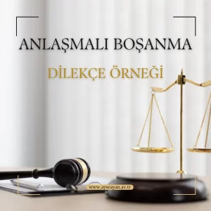 Anlaşmalı boşanma dilekçesini sizlerle paylaşıyoruz. Ancak önemle belirtmek isteriz ki boşanma davaları dahil hiçbir davayı, avukatsız şekilde takip etmemelisiniz.